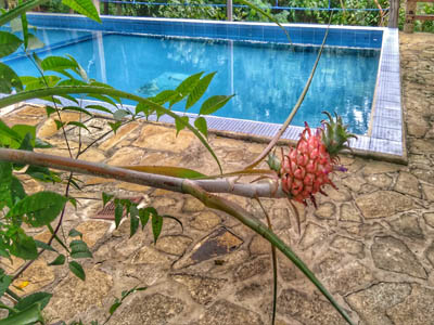 Piscina Piscina