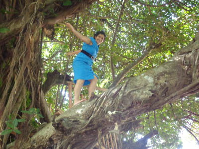 Explorando el Chilamate Explorando el Chilamate
