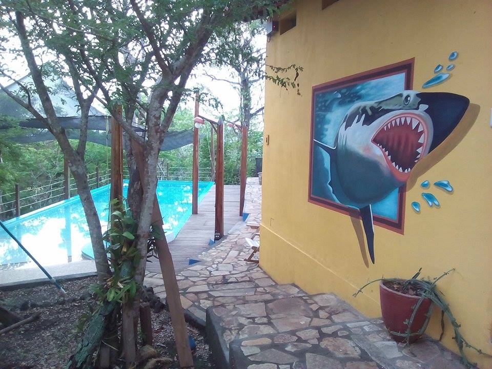 vista de la piscina Flor de Pochote piscina Flor de Pochote